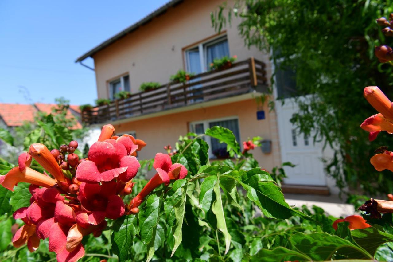Apartman Dorijan Раковица Екстериор снимка