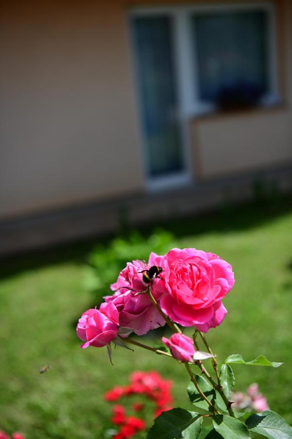 Apartman Dorijan Раковица Екстериор снимка